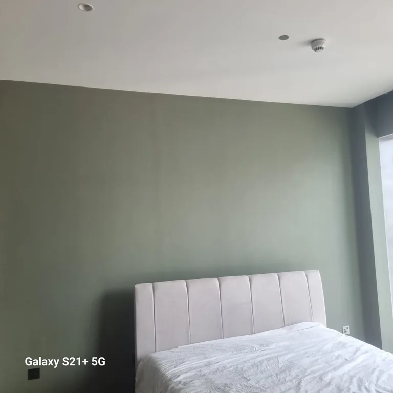 Green painted wall behind the bed headboard in the Jumeirah Beach Residence bedroom