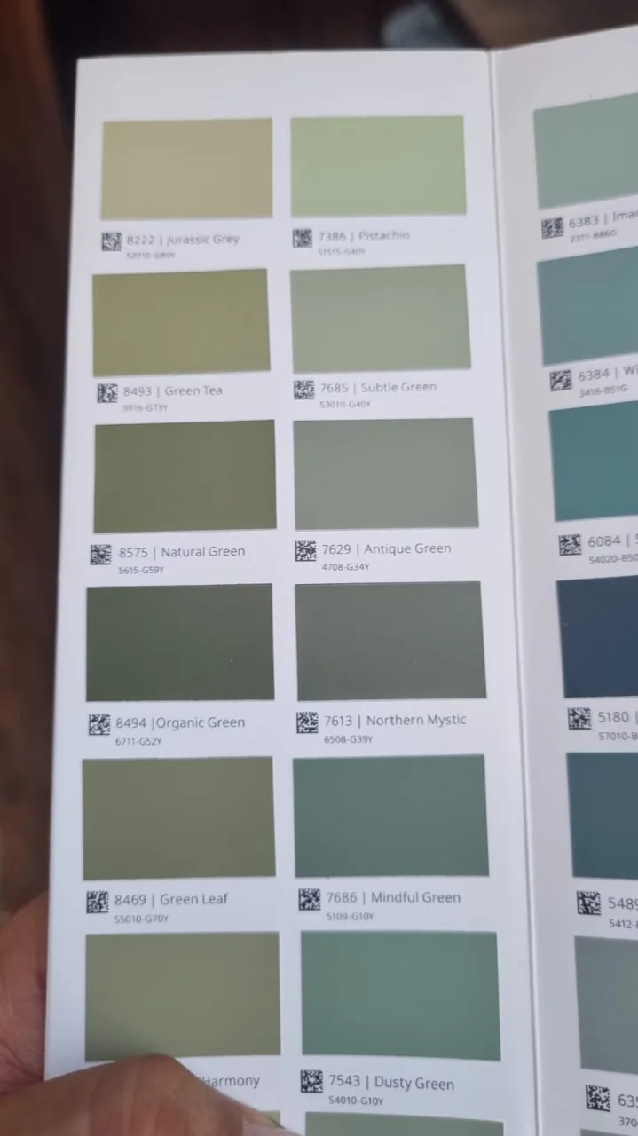 Green paint colour swatch card used while choosing the bedroom wall colour